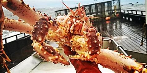 Bristol Bay red king crab season cancelled for the second year in a row | IntraFish.com