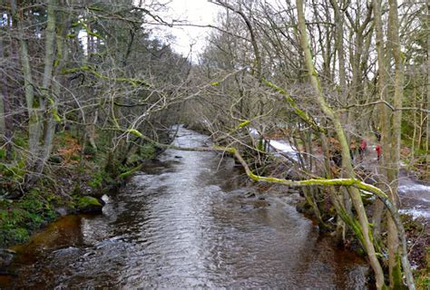 The Gruffalo Trail - Hamsterley Forest, Durham | North East Family Fun