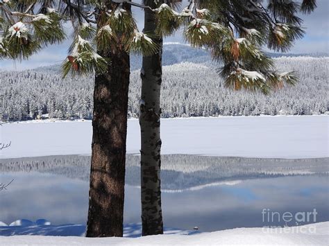 Payette Lake Winter, McCall Idaho Art Print Photograph by Art Sandi - Pixels