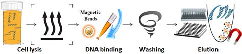 Cell-Free DNA Purification Kit for High-Quality Nucleic Acid Extraction