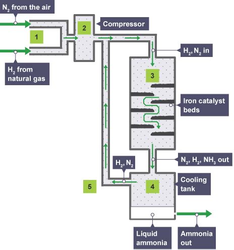 the manufacture of ammonia in the Haber process Diagram | Quizlet