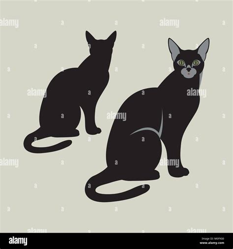 cat vector illustration black silhouette flat style profile side Stock Vector Image & Art - Alamy