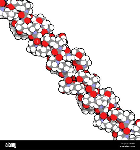 Collagen model protein molecule, chemical structure. Collagen adopts Stock Photo: 60608520 - Alamy