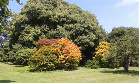 Batsford Arboretum by Brit31 on DeviantArt