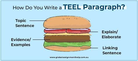 What Is TEEL Paragraph Structure - How To Write TEEL Paragraph