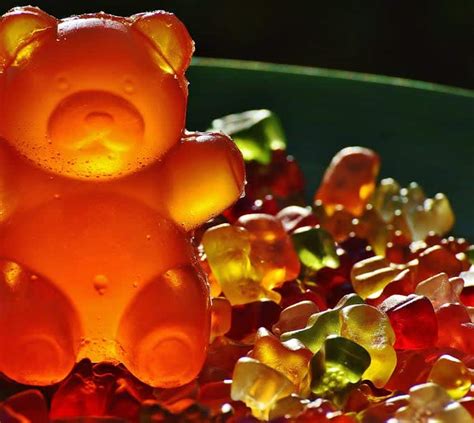 The History of the Gummy Bear – How It All Came to Be