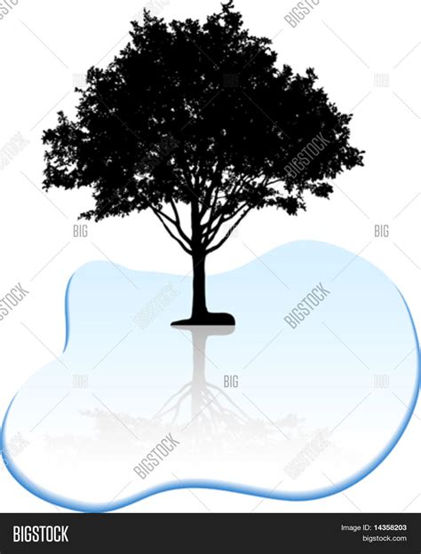 Black Tree Silhouette Vector & Photo (Free Trial) | Bigstock