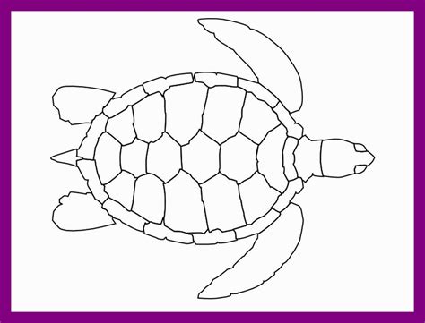 Simple Sea Turtle Drawing at PaintingValley.com | Explore collection of Simple Sea Turtle Drawing