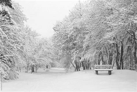 "Snowy Park" by Stocksy Contributor "Pixel Stories" - Stocksy