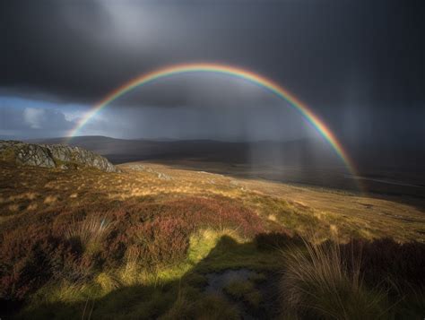 Rainbow Symbolism (8 Meanings)