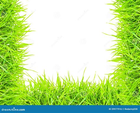 Grass isolated border U stock photo. Image of grass, blade - 39977916