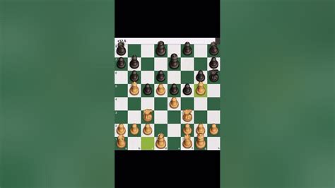 Chess Basics: Skewer - YouTube