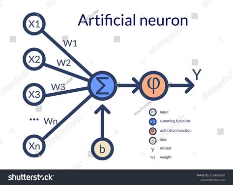 9,126 Background Neural Network White Background Images, Stock Photos ...