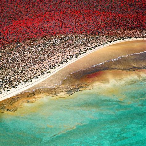 Australia in 2020 | Australia landscape, Aerial view, Aerial