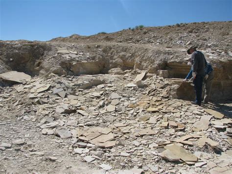 Fossil Fish Dig – Kemmerer Wyoming – Catching Marbles