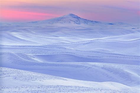 Palouse Winter Pinks | This is an image from Steptoe Butte f… | Flickr