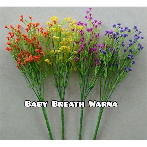 Jual Baby Breath Warna Bunga Baby Breath Kucai Bunga Rumput Bunga ...