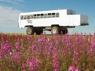 The Tundra Buggy Adventure | Tours | Manitoba