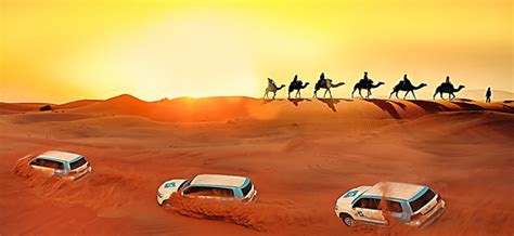 Desert Safari | Essence Of Qatar