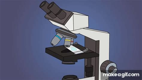 Animated Microscope Gif