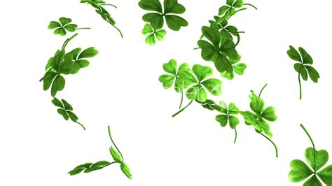 🔥 [70+] Shamrock Backgrounds Wallpapers | WallpaperSafari