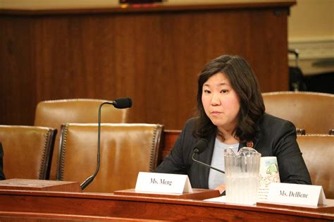 Grace Meng Racks Up House and Senate Endorsements for DNC Vice Chair Bid | Observer