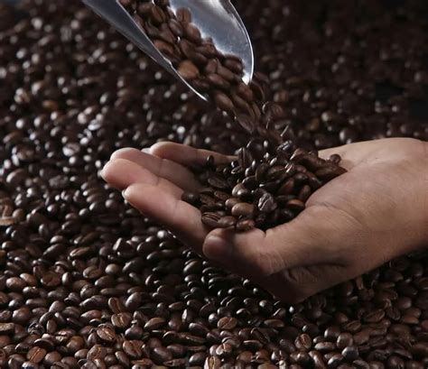 The Art of Roasting Dark Roast Coffee Beans: Techniques and Methods ...