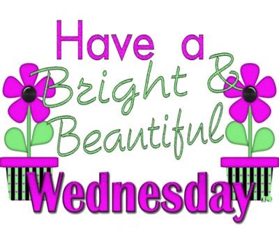 110+ Happy Wednesday Quotes, Wishes, Saying, HD Images