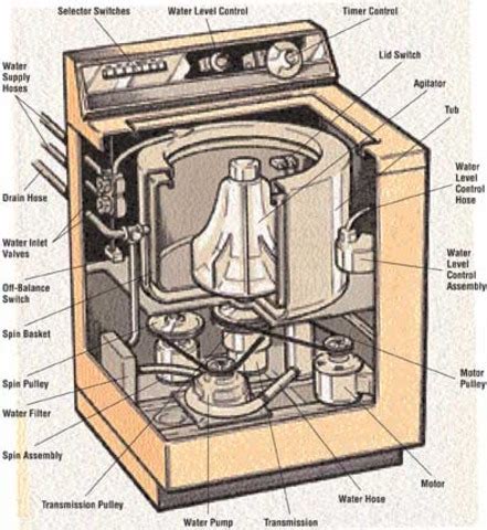 Evolution of the Washing Machine timeline | Timetoast timelines