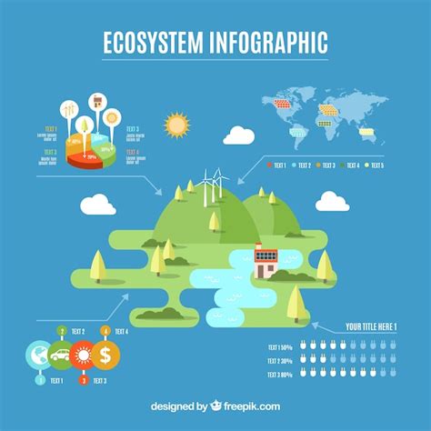 Free Vector | Ecosystem infographic design