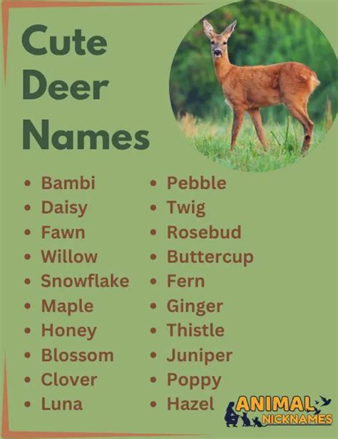 350+ Deer Names: Unique & Creative Ideas for Every Fawn