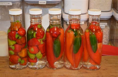 RonnieChristian.com: Homemade Vinegar Pepper Sauce