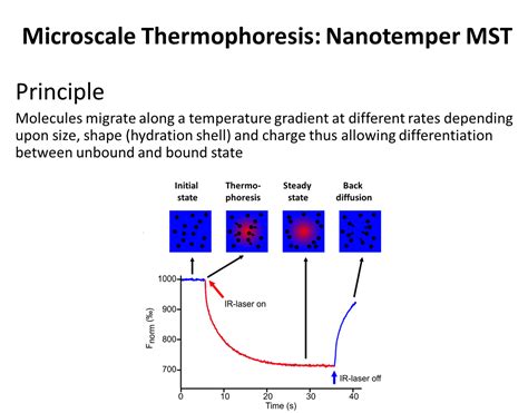 The Rockefeller University » Drug/Ligand/Receptor Interactions