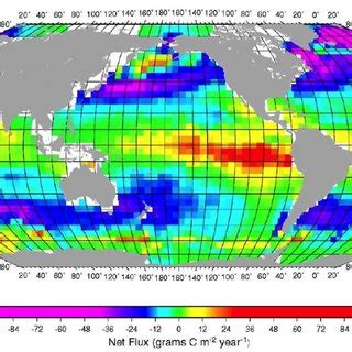 6: The peatland carbon cycle: atmospheric CO 2 is incorporated via... | Download Scientific Diagram