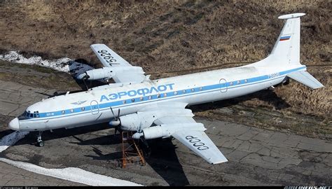 Ilyushin Il-22M-11 Zebra - Aeroflot (Russia - Air Force) | Aviation Photo #6293945 | Airliners.net