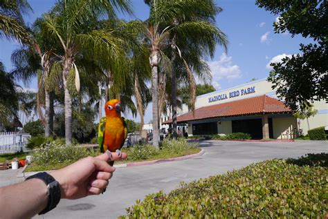 at Magnolia Bird Farm!! (Riverside) | I was here!!! :) | Chewie Bird | Flickr