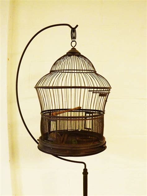 Vintage Brass Bird Cage with Stand | EBTH