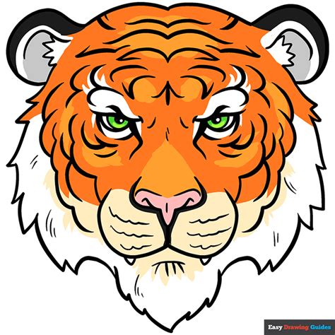 How to Draw a Tiger Face in a Few Easy Steps | Easy Drawing Guides