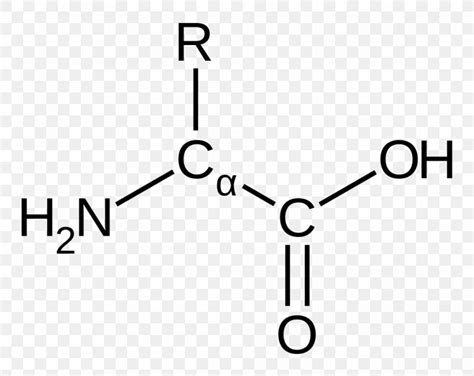 Amino Acid Carbamoyl Phosphate EPSP Synthase Functional Group, PNG, 966x768px, Amino Acid, Acid ...