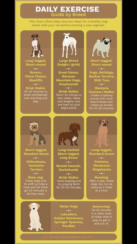 Dog Breed Daily Exercise Guide : r/coolguides