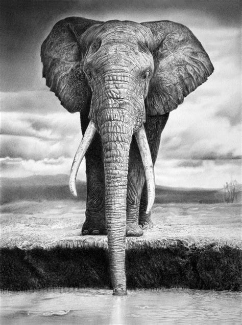 10+ Excellent Elephant Drawings for Inspiration 2022