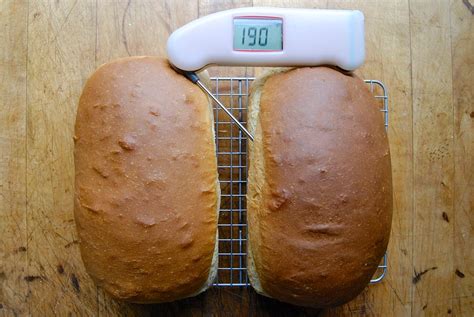 Using a thermometer with yeast bread | King Arthur Baking