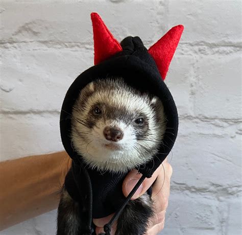 Devil's Amazing Ferret Costume. Ferret Costume Ferret | Etsy