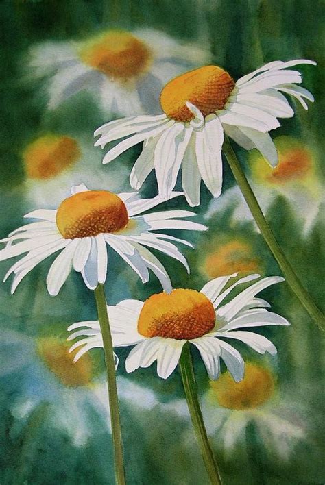 Three Wild Daisies Art Print by Sharon Freeman | Daisy painting, Floral painting, Watercolor flowers