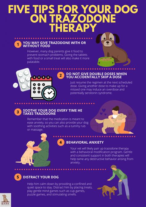 Trazodone For Dogs: Uses, Benefits, And Precautions For Dog Behavior Management | Bark For More