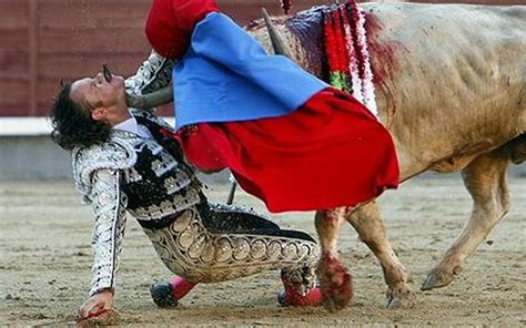 Work Injuries of Bullfighters images |Cheeky Pictures