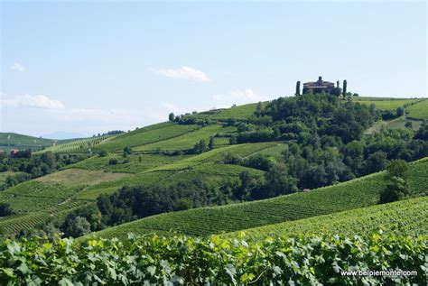 Langhe and Roero | Bel Piemonte