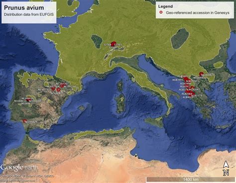 European forest conservationists move to Bonn – Agricultural ...