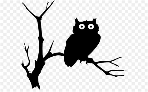 Owl Silhouette Drawing Clip art - others png download - 640*544 - Free Transparent Owl png ...