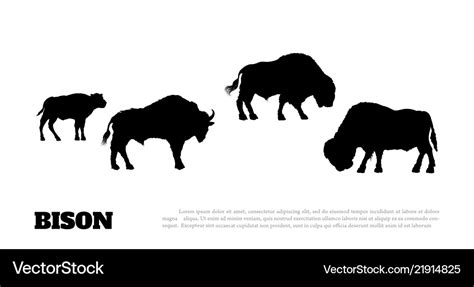 Black silhouette of bison herf on white background